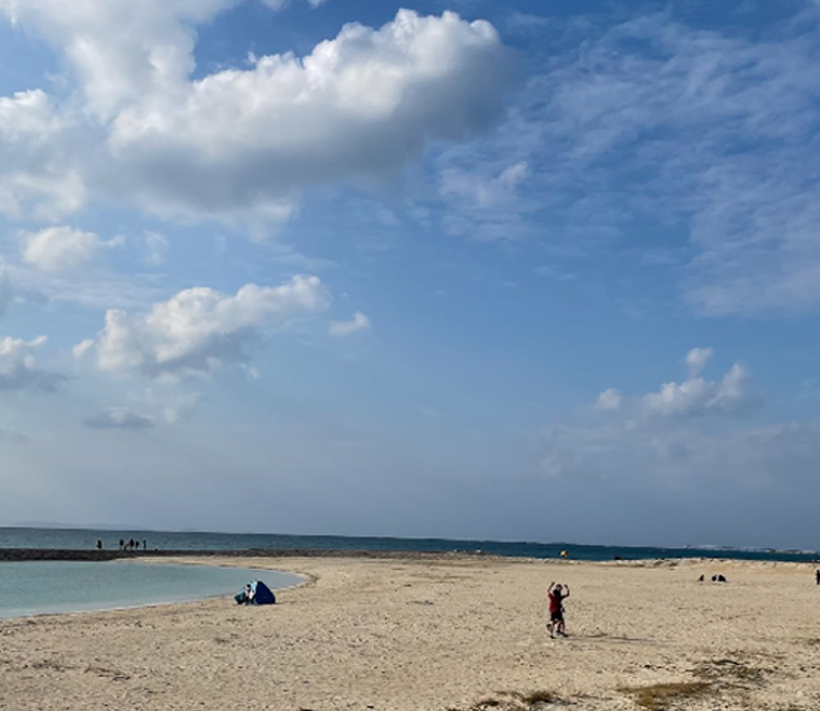 海水浴やBBQ等のアウトドアが趣味